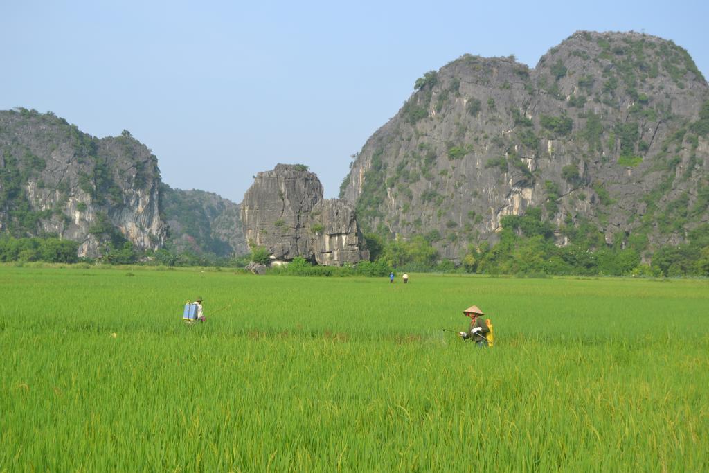 Tam Coc Homestay Νιν Μπιν Εξωτερικό φωτογραφία